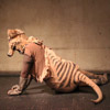 thylacine antonia baehr steffi weismann
